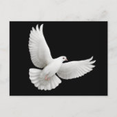 Peace Dove Briefkaart (Voorkant)