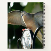 Peace Dove Spread Wings Photographic Notitieboek (Achterkant)