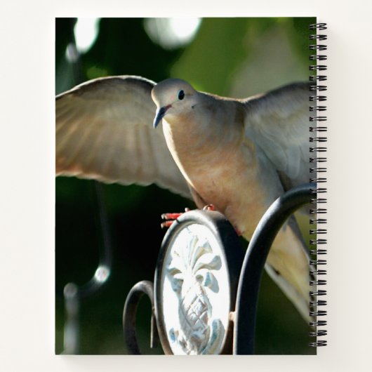 Peace Dove Spread Wings Photographic Notitieboek (Achterkant)