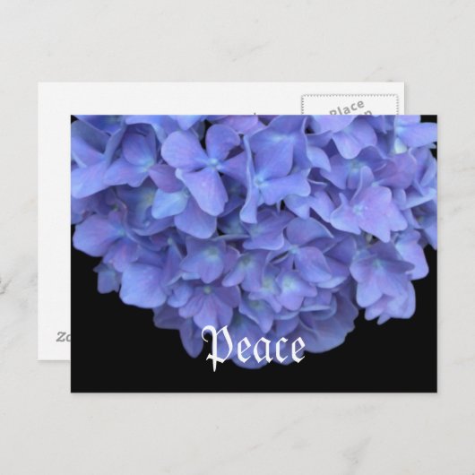 Peace Floral Briefkaart (Voorkant / Achterkant)