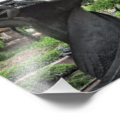 Peace Foundation St. John Divine Church Foto Afdruk (Hoek)