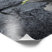 Peace Garden Foto Afdruk (Hoek)