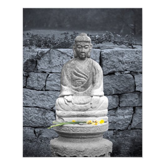 Peace Garden Foto Afdruk (Voorkant)