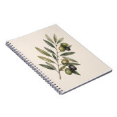 Peace Grows Here | Vintage Olive Branch Botanical Notitieboek (Rechterzijde)