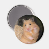Peace Hamster Meme Magnet (Voorkant / Achterkant)