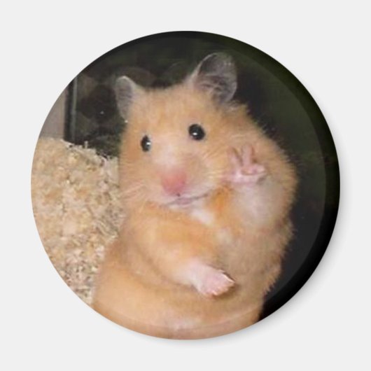 Peace Hamster Meme Magnet (Voorkant)