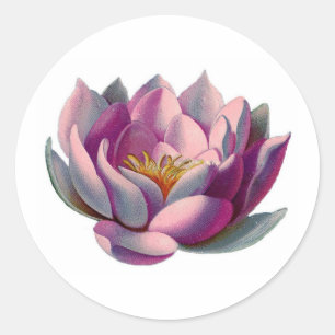 Peace l Beauful Pink Lotus Flower/Water Lily Ronde Sticker