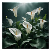 peace lilies perfect poster (Voorkant)