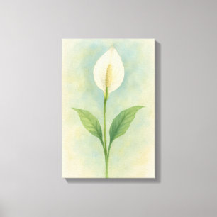 Peace Lily Canvas Afdruk