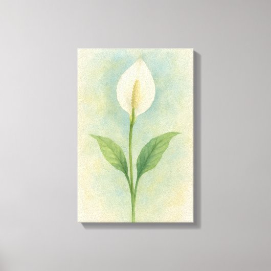 Peace Lily Canvas Afdruk (Voorkant)
