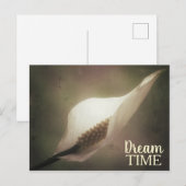 Peace Lily Dream Time Phrase Briefkaart (Voorkant / Achterkant)