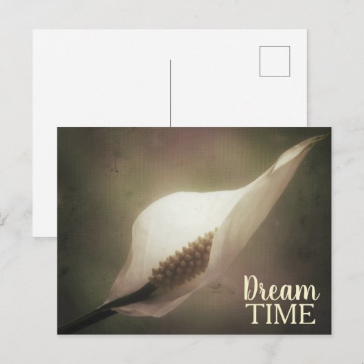 Peace Lily Dream Time Phrase Briefkaart (Voorkant / Achterkant)
