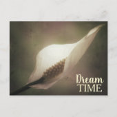 Peace Lily Dream Time Phrase Briefkaart (Voorkant)