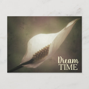 Peace Lily Dream Time Phrase Briefkaart