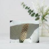 Peace Lily Elegant White Floral Briefkaart (Staand voorkant)