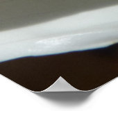 Peace Lily Elegant White Floral Poster (Hoek)