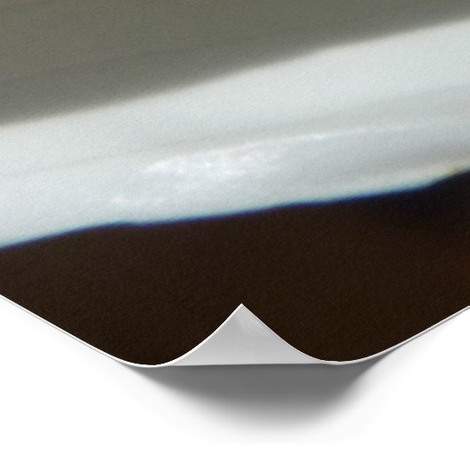 Peace Lily Elegant White Floral Poster (Hoek)