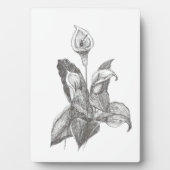 Peace Lily Fine Art Tekening Fotoplaat (voorkant)