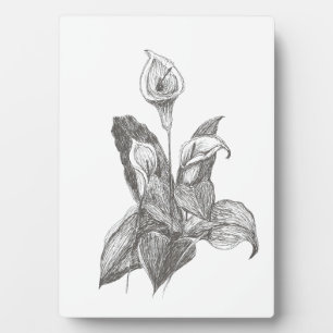 Peace Lily Fine Art Tekening Fotoplaat