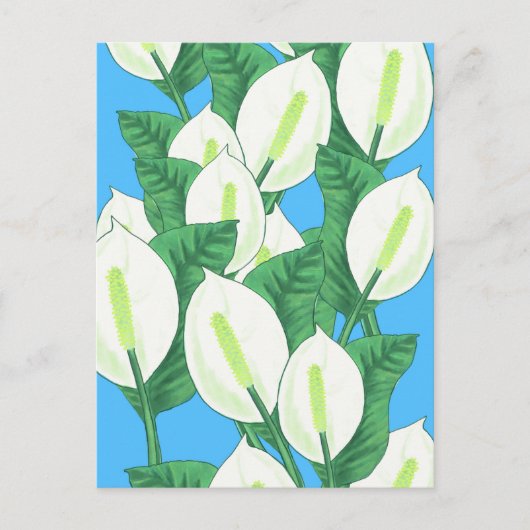 Peace Lily Illustration Briefkaart (Voorkant)
