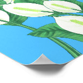 Peace Lily Illustration Poster (Hoek)