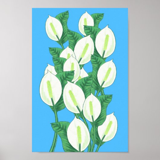 Peace Lily Illustration Poster (Voorkant)