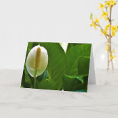 Peace Lily, kaart (Gele Bloem)