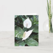 Peace Lily Photo Folded Note Kaart (Voorkant)