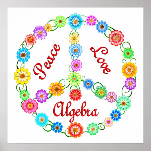 Peace Love Algebra Poster (Voorkant)