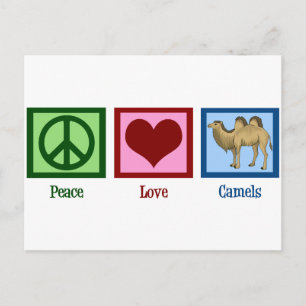 Peace Love Camels Briefkaart