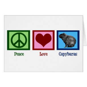 Peace Love Capybaras