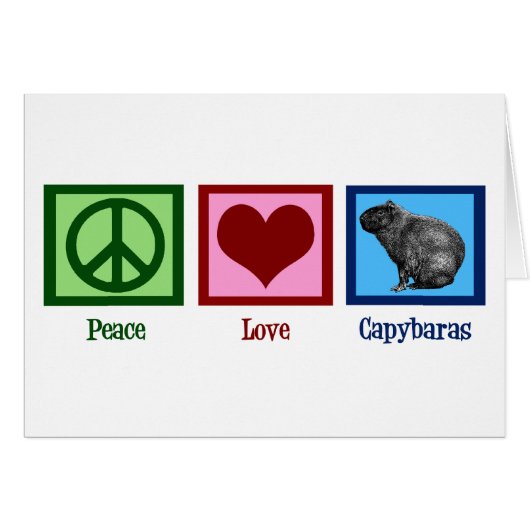 Peace Love Capybaras (Voorkant Horizontaal)
