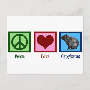 Peace Love Capybaras Briefkaart