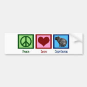 Peace Love Capybaras Bumpersticker (Voorkant)