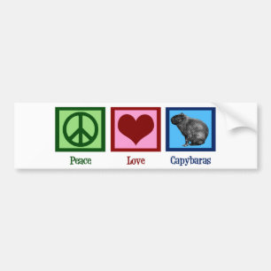 Peace Love Capybaras Bumpersticker