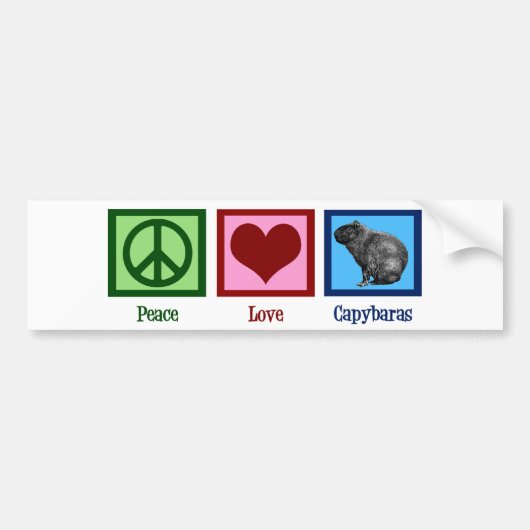 Peace Love Capybaras Bumpersticker (Voorkant)