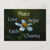 Peace Love Hope Faith Charity Daisy Floral Briefkaart (Voorkant)