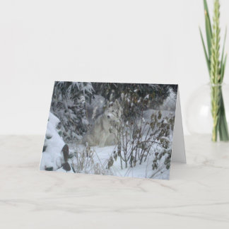 Peace Love Joy Dog Christmas Kaart