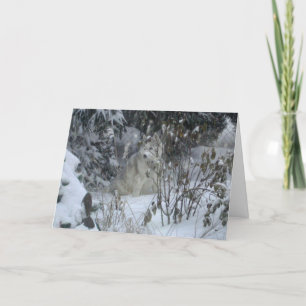 Peace Love Joy Dog-kerstkaart Feestdagen Kaart