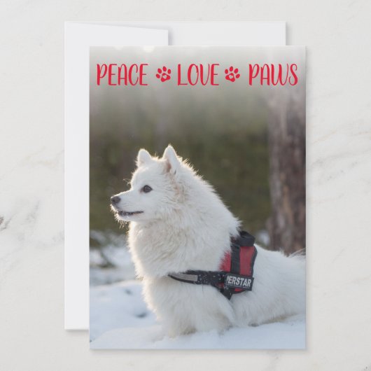 Peace Love Paws Photo Red-kerstkaart (Voorkant)