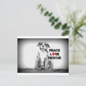 Peace Love Redcue Dog Briefkaart (Staand voorkant)