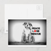 Peace Love Redcue Dog Briefkaart (Voorkant / Achterkant)