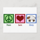 Peace Love Sheep Briefkaart (Voorkant)