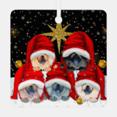 PEACE ON EARTH 5 toont metalen ornament (Achterkant)