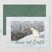 Peace on Earth Ducks Holiday Kaart (Voorkant / Achterkant)
