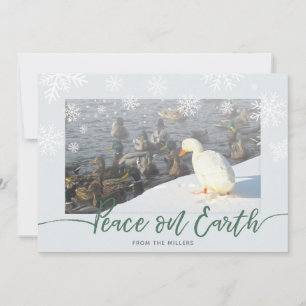 Peace on Earth Ducks Holiday Kaart