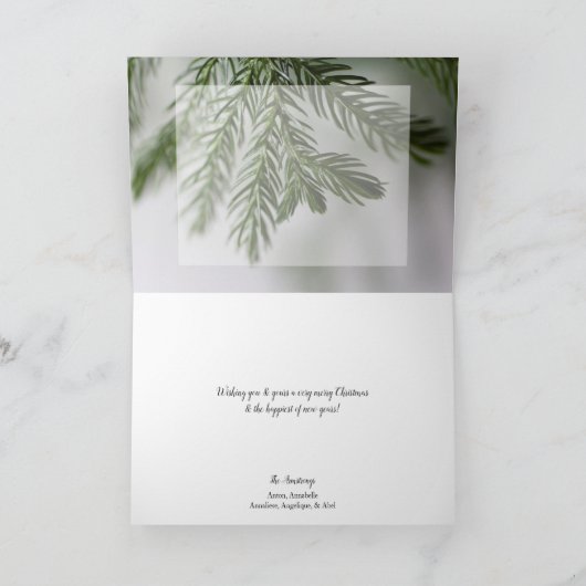 Peace on Earth Evergreen Branch Holiday Card Feestdagen Kaart (Binnen)