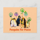 Peace Penguins Briefkaart (Voorkant)