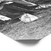 Peace Pipe: 1905 Poster (Hoek)