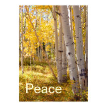 Peace
